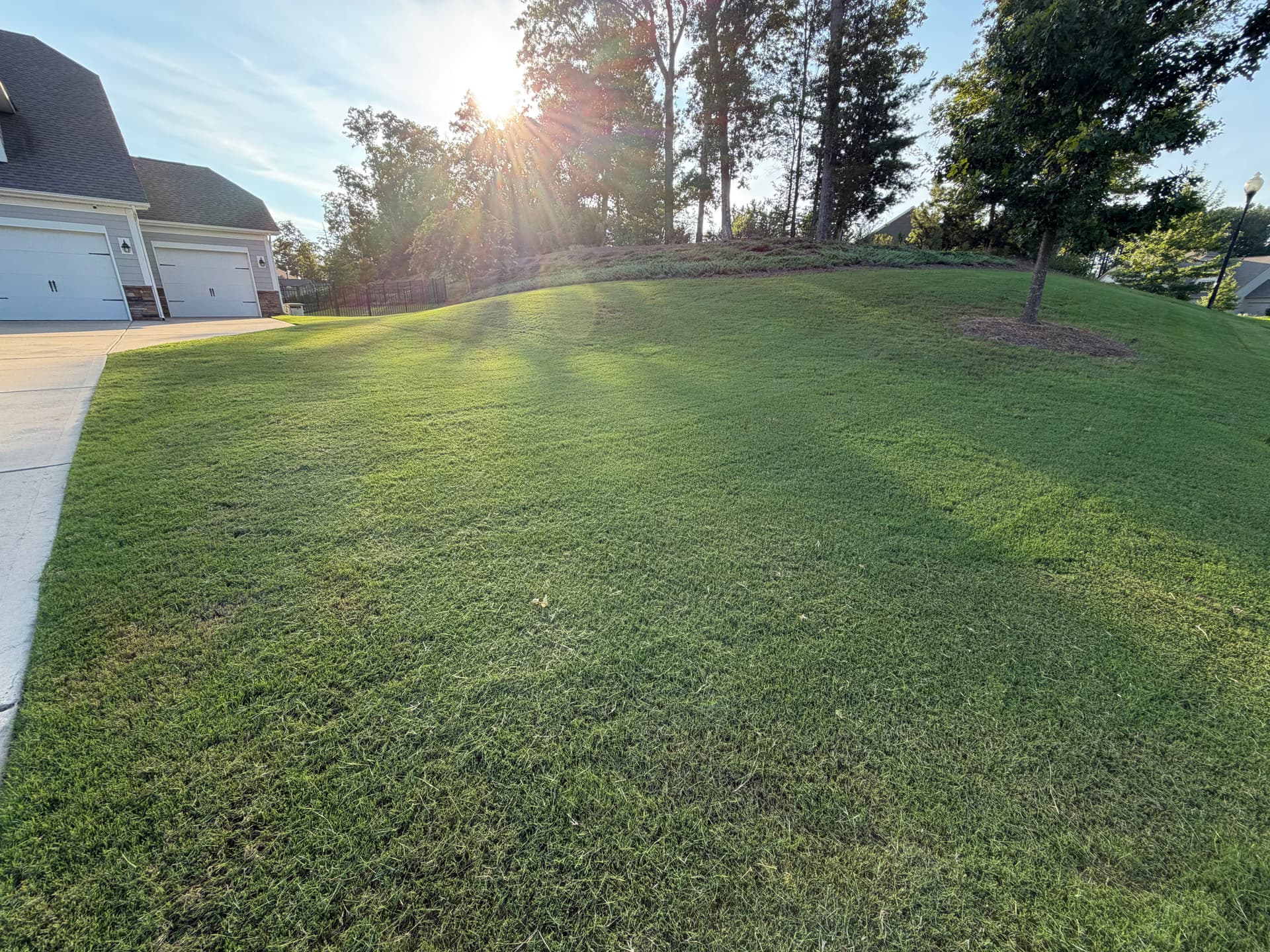 Bermuda Grass Mowing and Custom Fertilizer Programs That Actually Work image