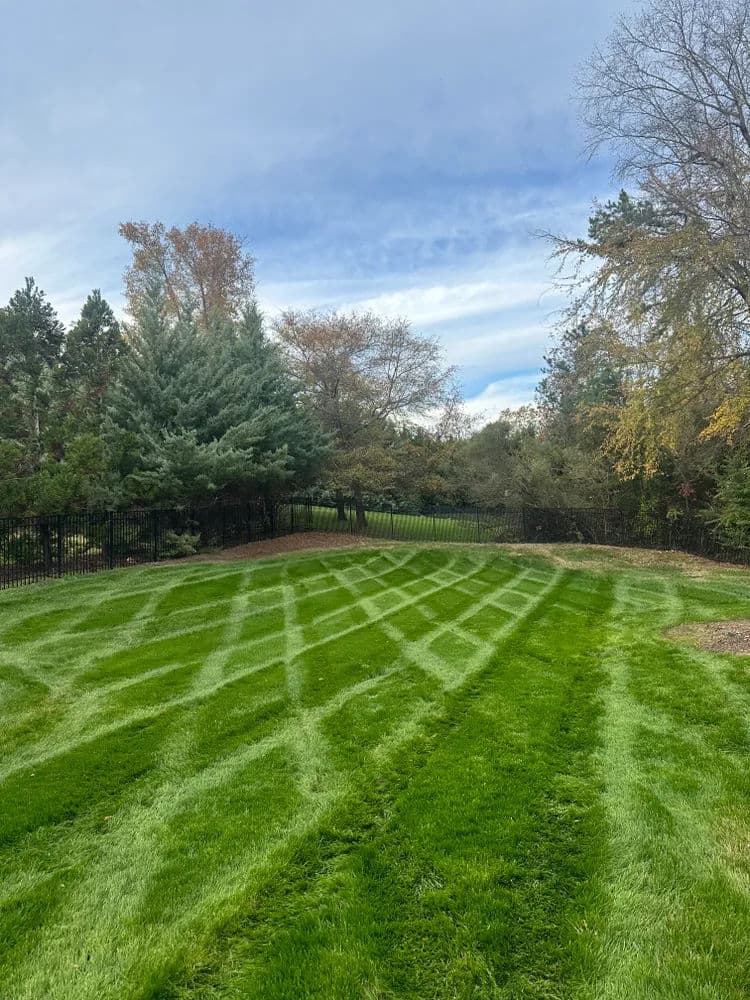 Lawn with fresh mowing stripes, greenery, and trees under a cloudy sky.