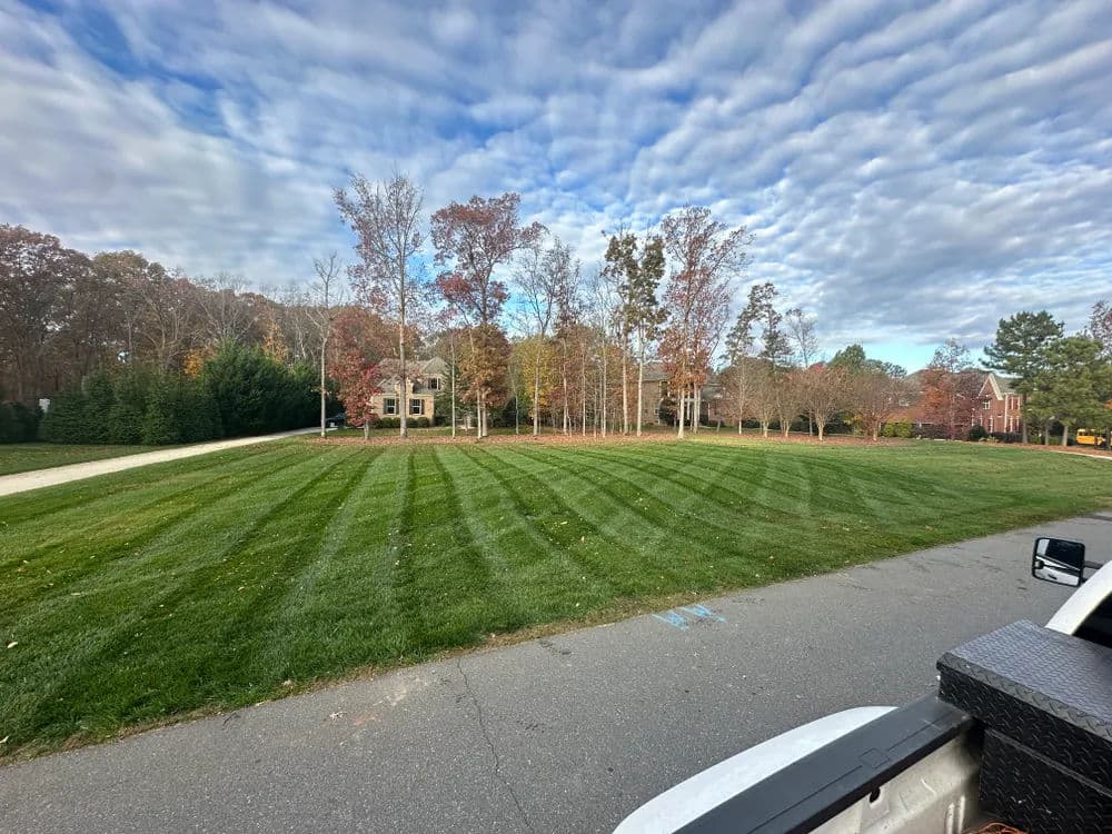 Lawn with freshly mowed stripes and autumn trees under a cloudy sky. Residential area view.