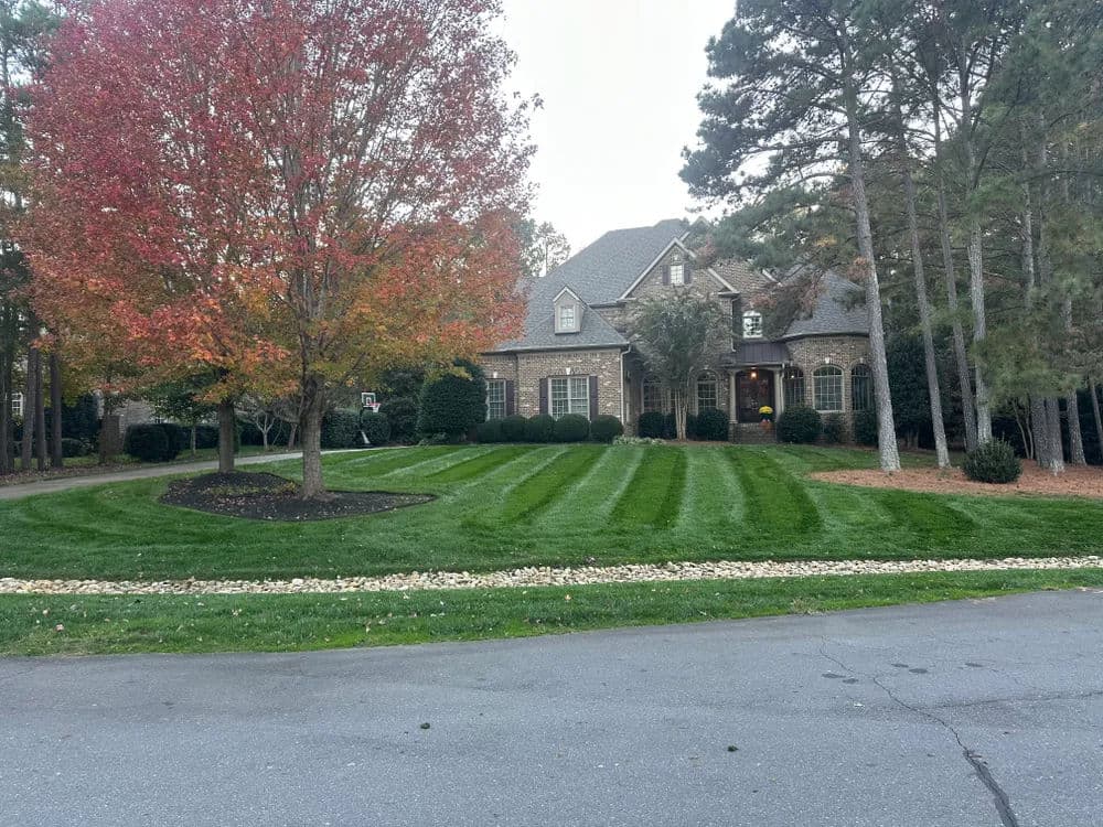 Elegant brick house with manicured lawn and vibrant fall tree in suburban neighborhood.