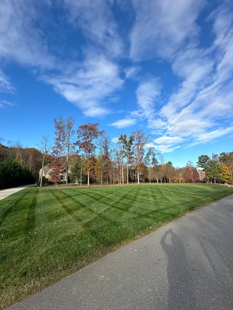 Lush green lawn with autumn trees under a blue sky and wispy clouds.