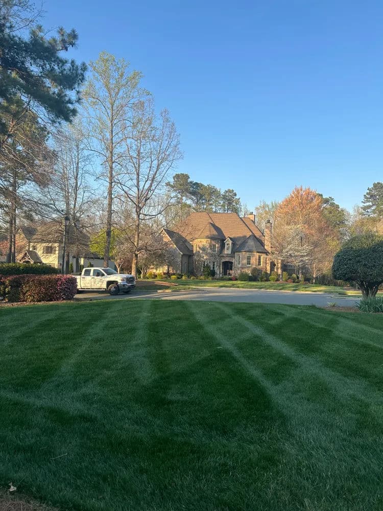 Luxury home with manicured lawn and trees under clear blue sky.