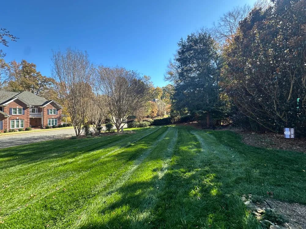 Lawn with striped grass and trees, featuring a brick house in clear blue sky.