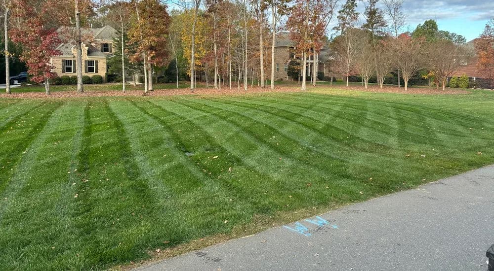 Well-manicured lawn with striped patterns and autumn foliage in a residential neighborhood.