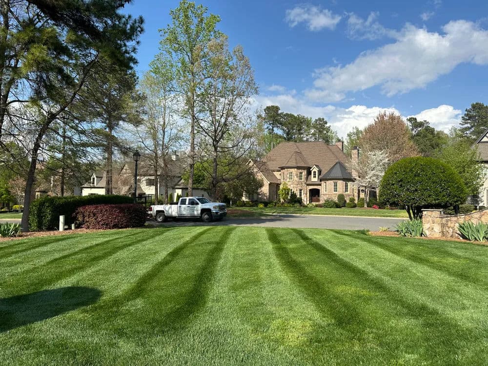 Well-manicured lawn in a suburban neighborhood with homes and trees under a blue sky.