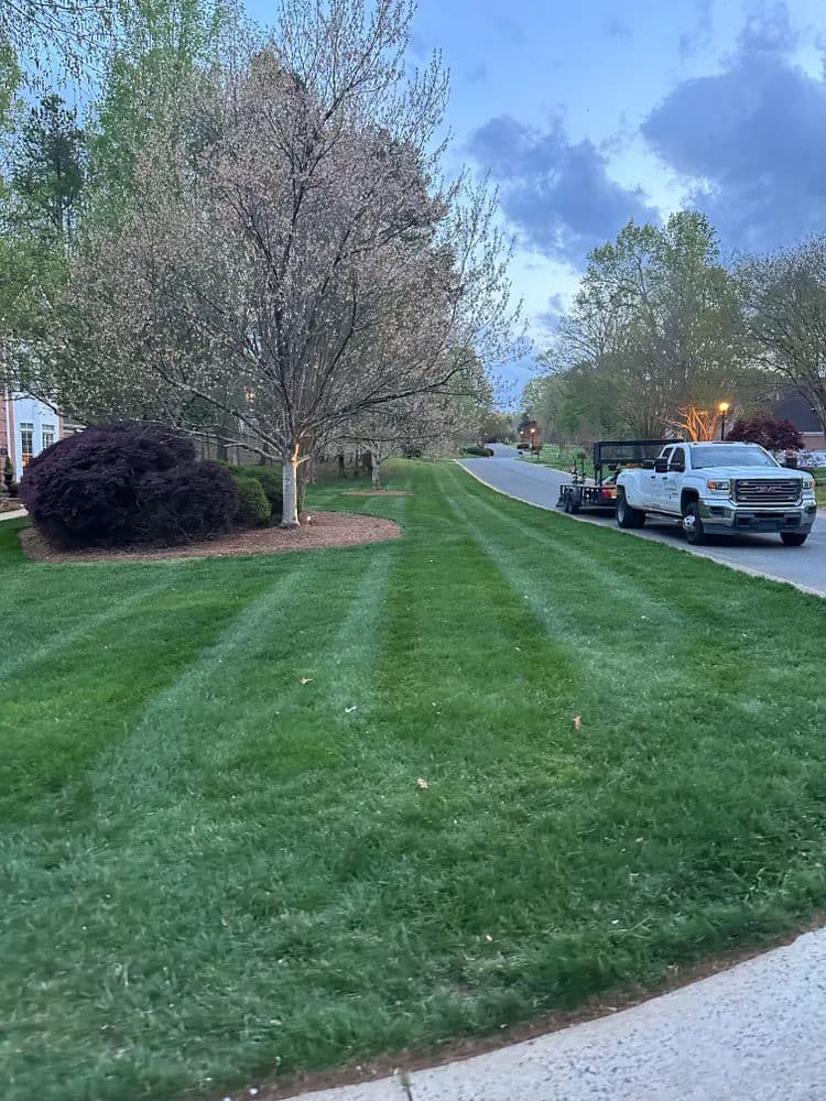 Lawn care truck parked on a green, freshly mowed lawn in a residential neighborhood.