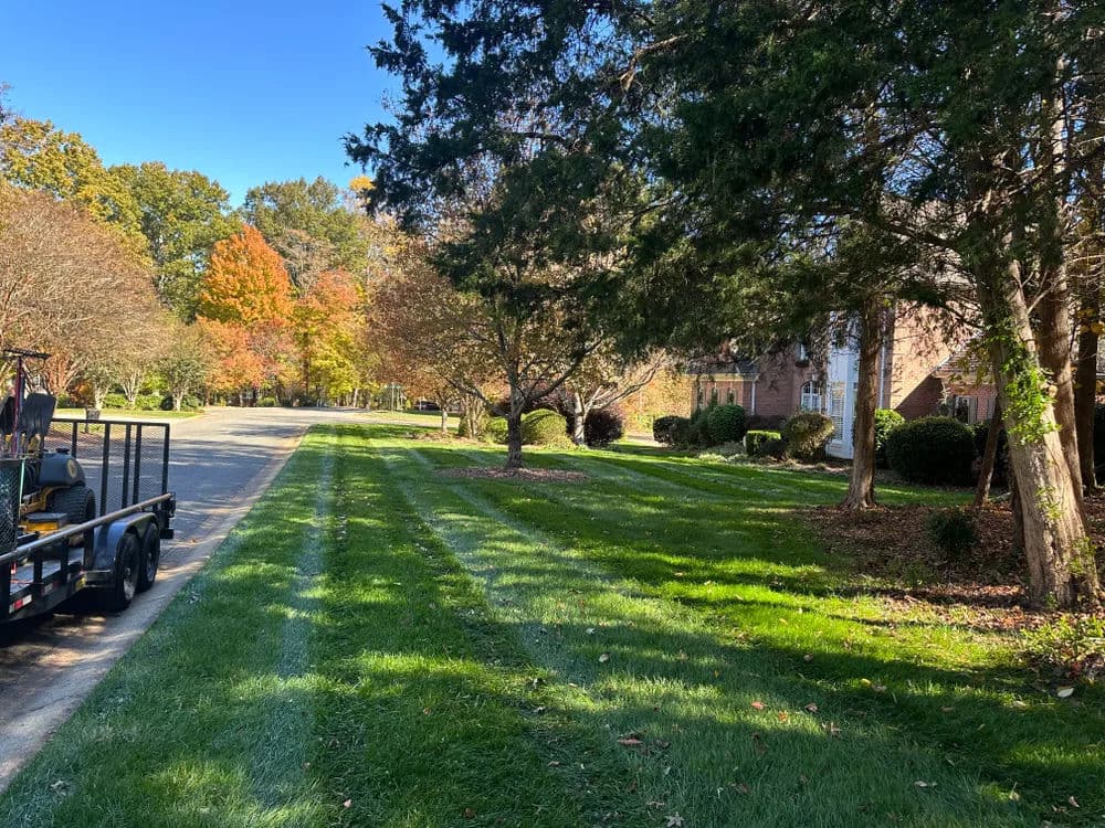 Lawn care service showcasing a neatly mowed green lawn in a residential neighborhood.