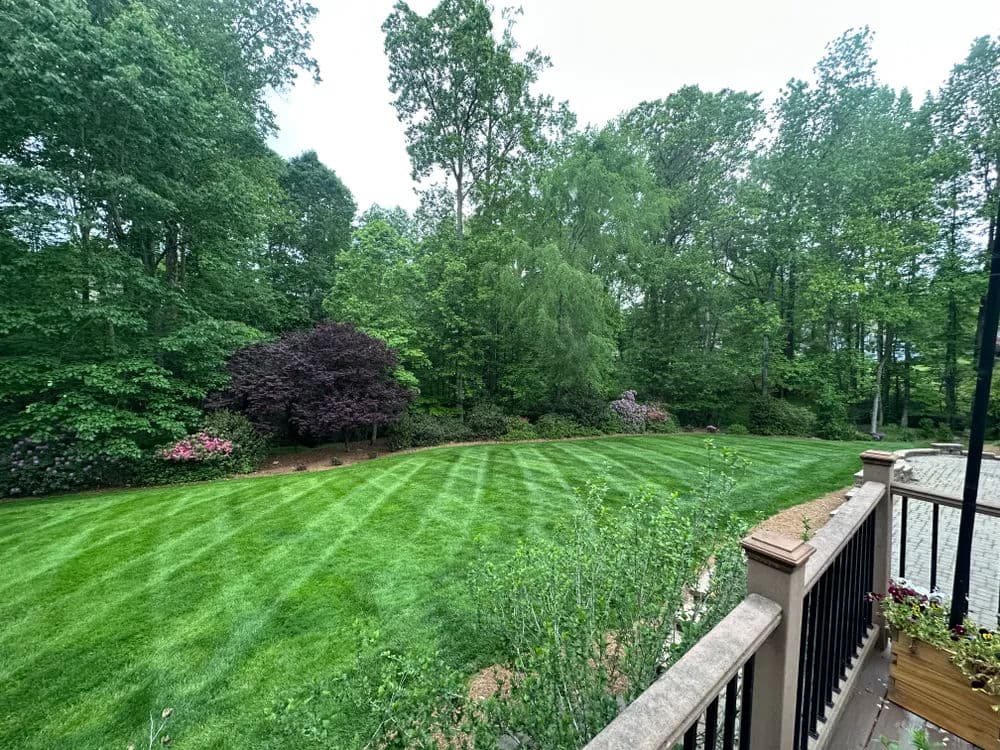 Lush green lawn with manicured stripes and vibrant trees in a serene outdoor setting.