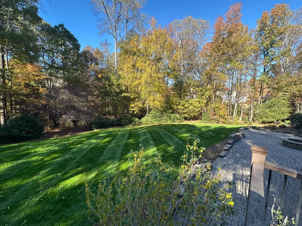 Lush, manicured lawn surrounded by vibrant autumn trees under a clear blue sky.