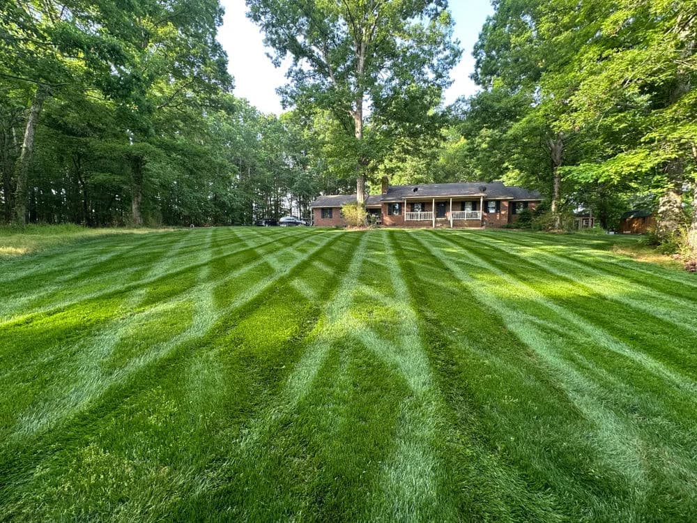Lush green lawn with striped mowing pattern beside a rustic house in a wooded area.