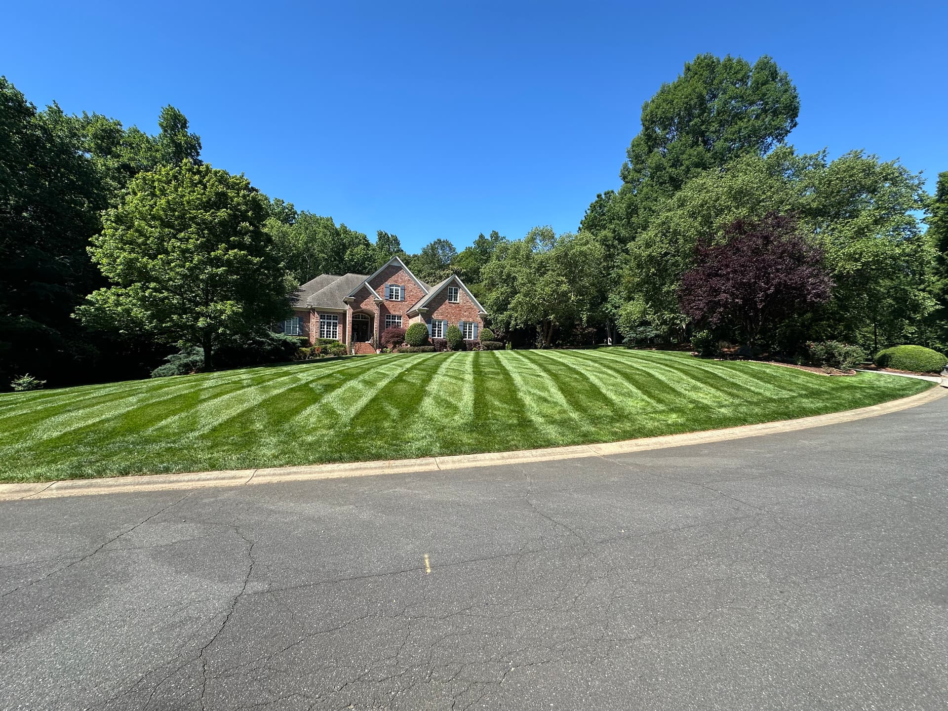 Clean Stripes and a Healthy Lawn That Speaks for Itself image