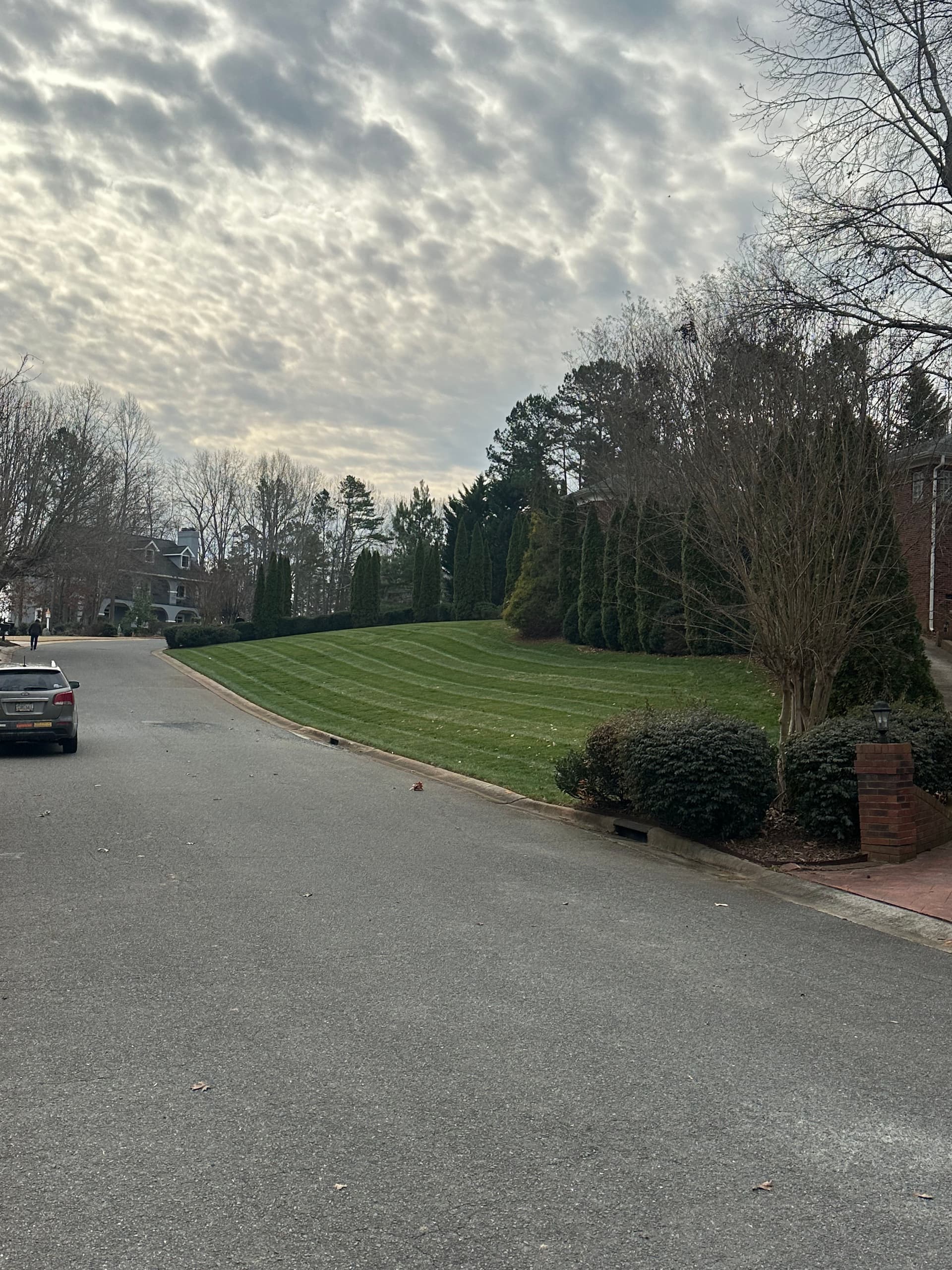 Beautiful Spring Lawns in Weddington