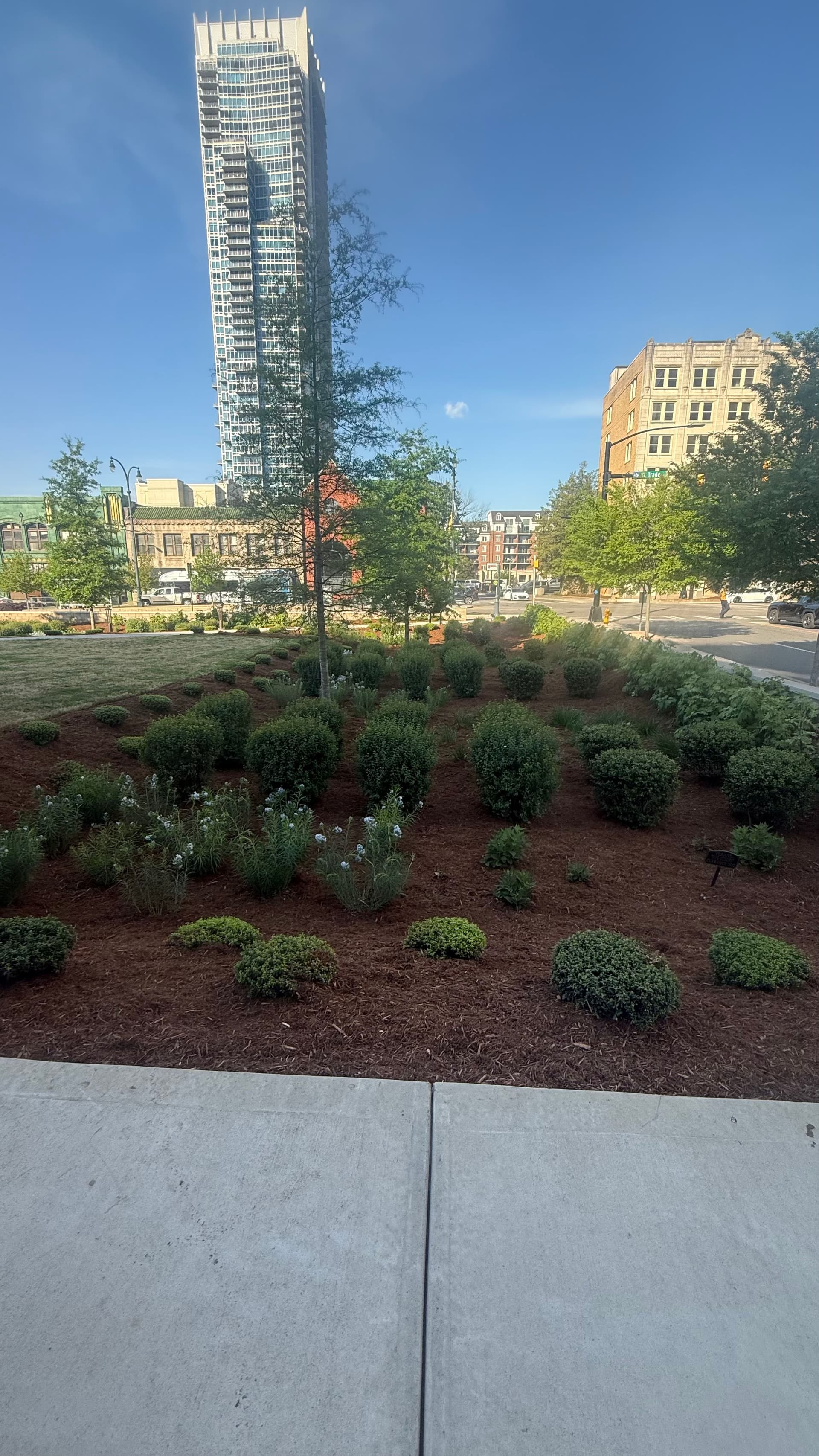 Gallery photos for Premium Mulch Install at the Federal Courthouse in Charlotte: Image #4