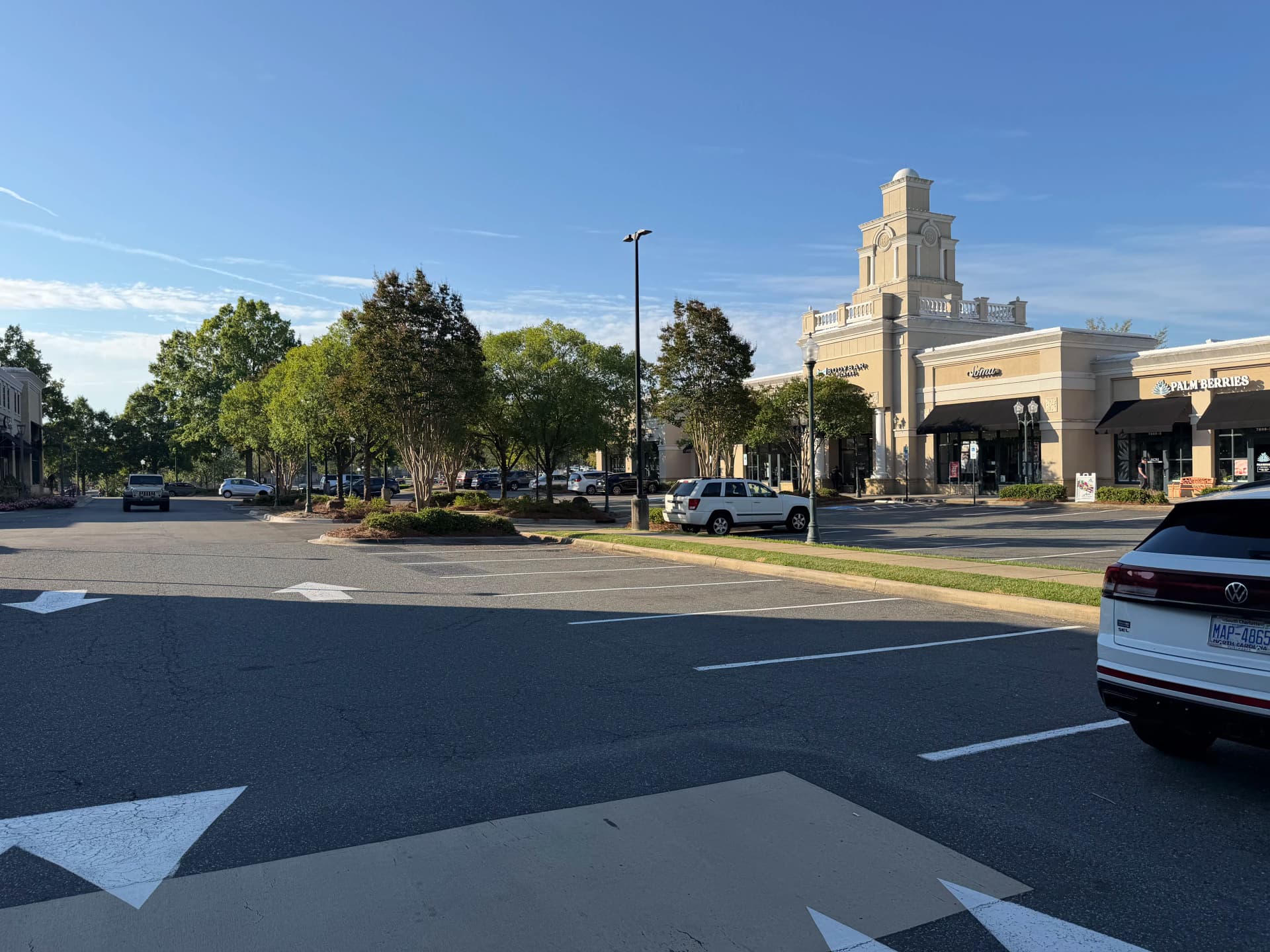 Gallery photos for Commercial Landscaping at Stonecrest Shopping Center Charlotte: Image #3