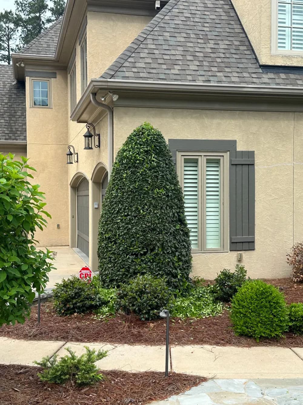 Well-maintained landscape with evergreen shrub and elegant home exterior.