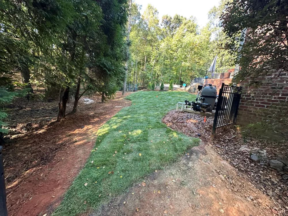 Lush green lawn installation in a backyard with trees and landscaping elements.