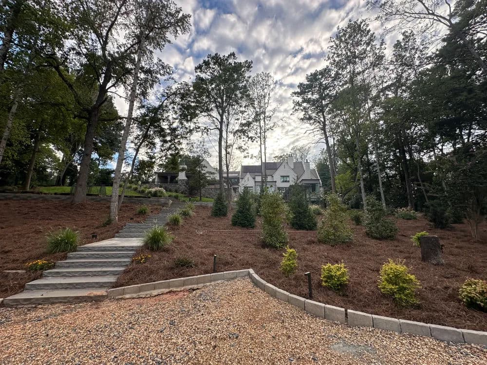 Scenic view of a modern home nestled among trees with landscaped garden and stone pathway.