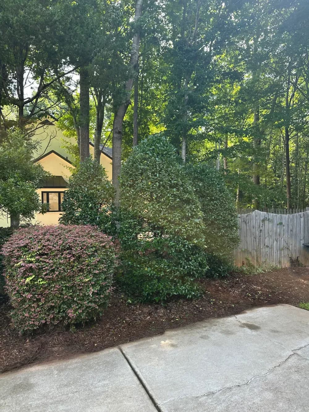 Lush greenery with manicured shrubs and trees near a serene residential home.