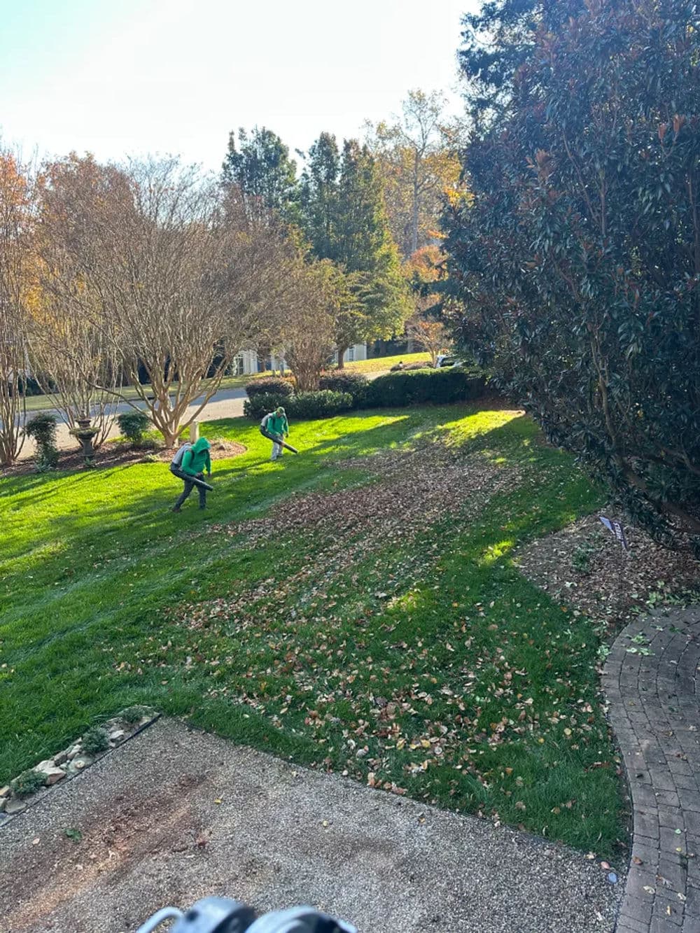 Two landscapers in green uniforms clearing leaves from a grassy yard on a sunny day.