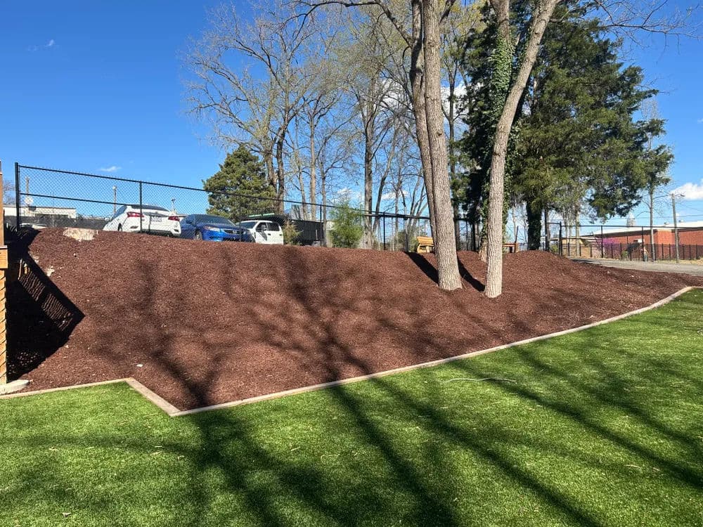 Landscape of a mulched slope with trees and a fenced area, featuring lush green grass.
