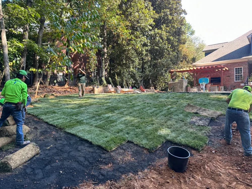 Lawn installation in a backyard with workers laying sod and landscaping tools nearby.